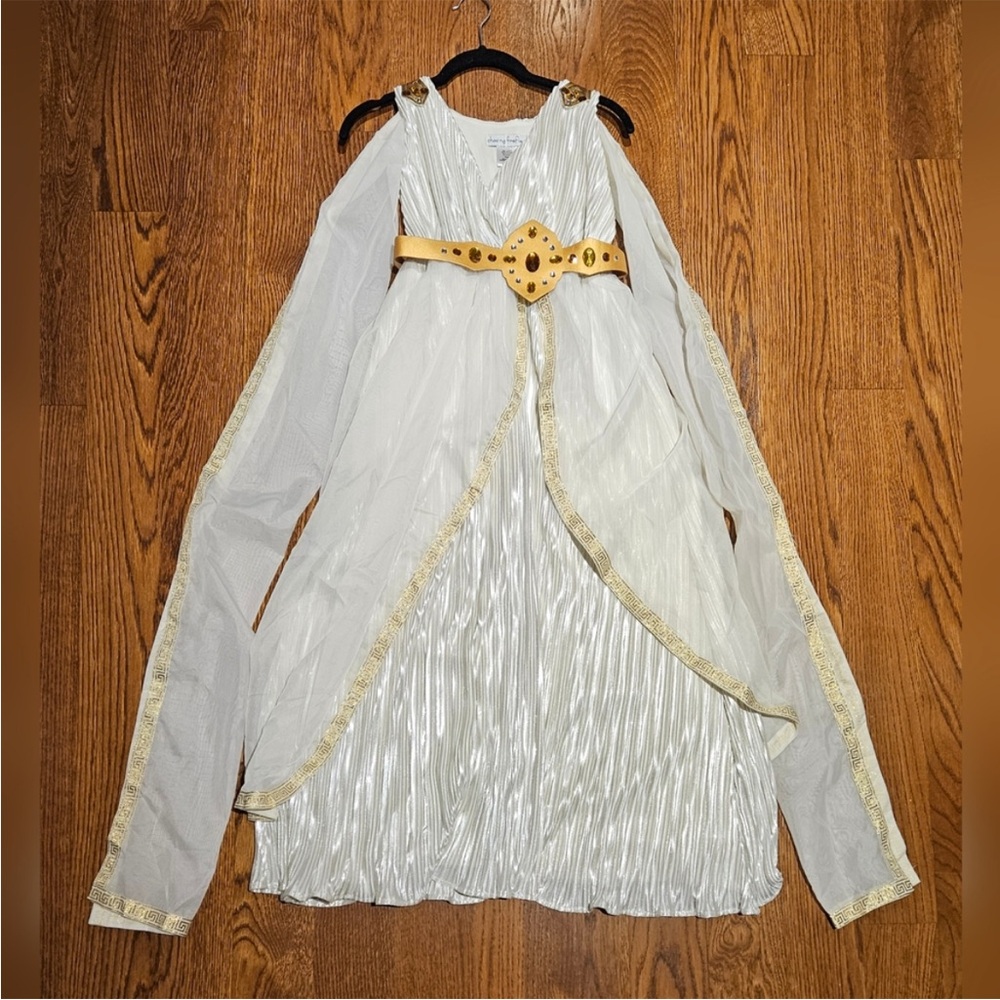 Chasing Fireflies Greek goddess costume in good condition